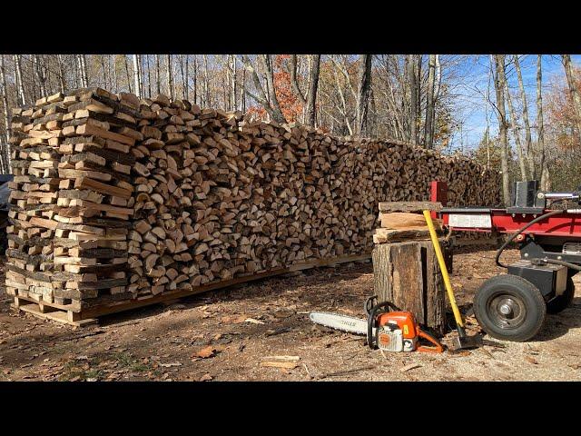 How Much Firewood Can We Process in Just One Week - Let's Find Out! My Firewood Routine Explained