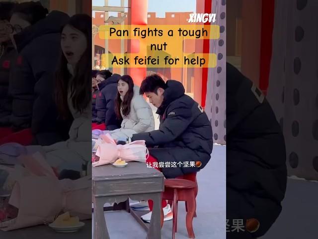 #潘展乐 #张雨霏 #panzhanle #zhangyufei #新疆 #xinjiang #斗智斗勇 #nuts