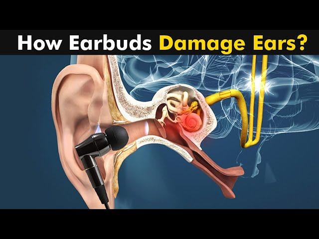 how earbuds damage our ears? | Are Earphones harmful? (Urdu/Hindi)