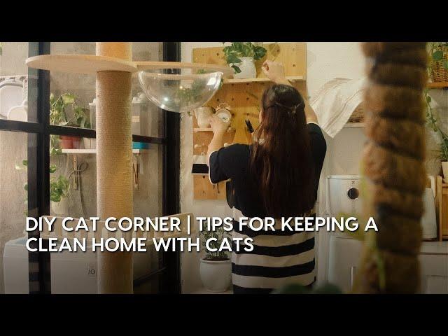 #14 DIY Cat Corner | Tips for keeping a clean home with cats