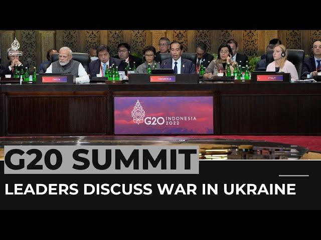 What are world leaders saying about Russia and Ukraine at G20?