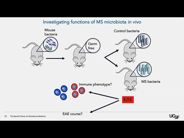 The Gut-Brain Axis - Gut Microbiome Influences on Neurological Disease