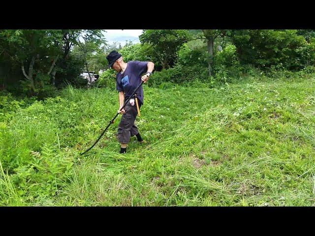 Scything with an Arti Saiga 40cm Scythe