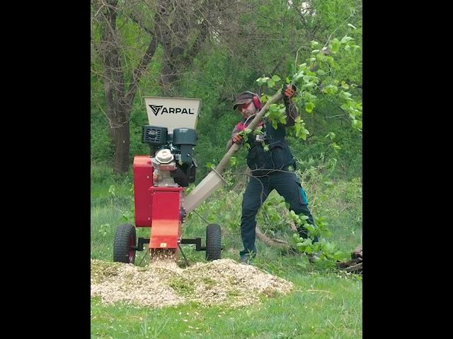 TOP-1 Home wood chipper shredder!