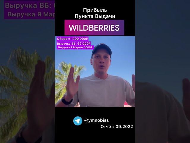 Прибыль бизнеса ПВЗ Wildberries