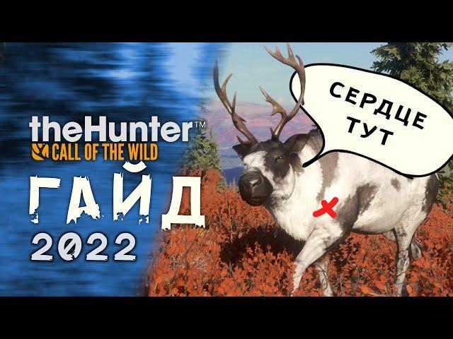 TheHunter  Call of the Wild / 2022 / Гайд для новичков / Как лучше охотиться?