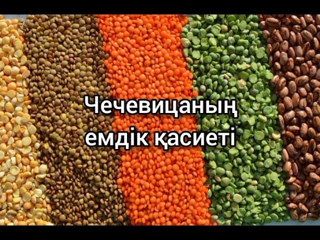 Чечевицасың емдік қасиеті. Үй жағдайында