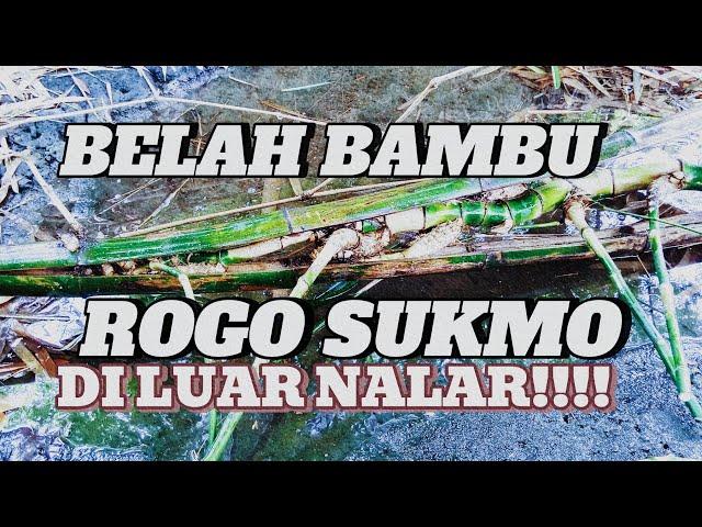 Belah Bambu Rogo Sukmo,,