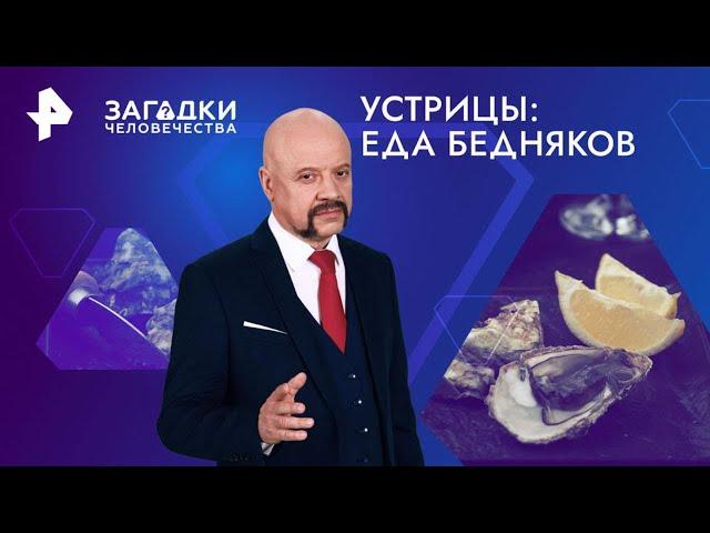 Устрицы: еда бедняков — Загадки человечества (26.11.2024)