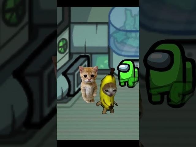 Banana Cat Vs Among us AMOGUS MEME FUNNY VIDEO