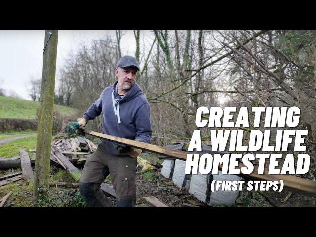 I'm Building A Wildlife Homestead! (First Steps)