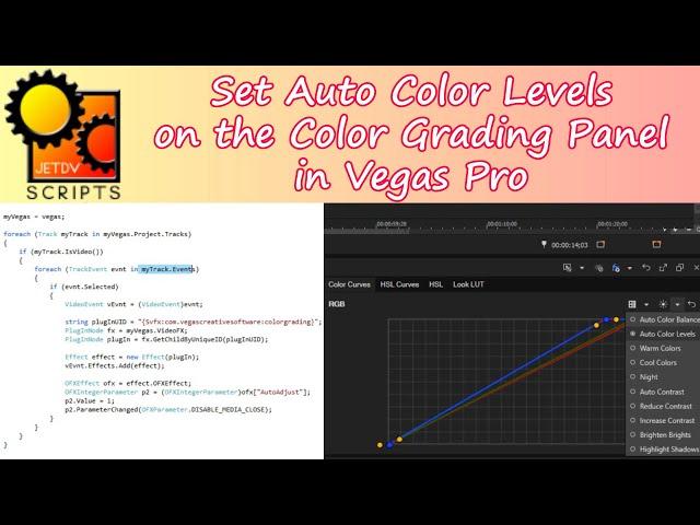 Set the Auto Color Levels setting in the Color Grading Panel using a Script in VEGAS Pro