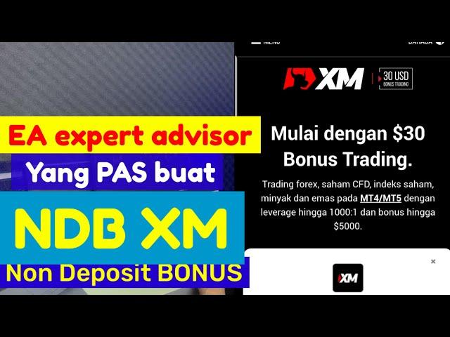 Review EA AutoScalping - Cocok di NDB XM