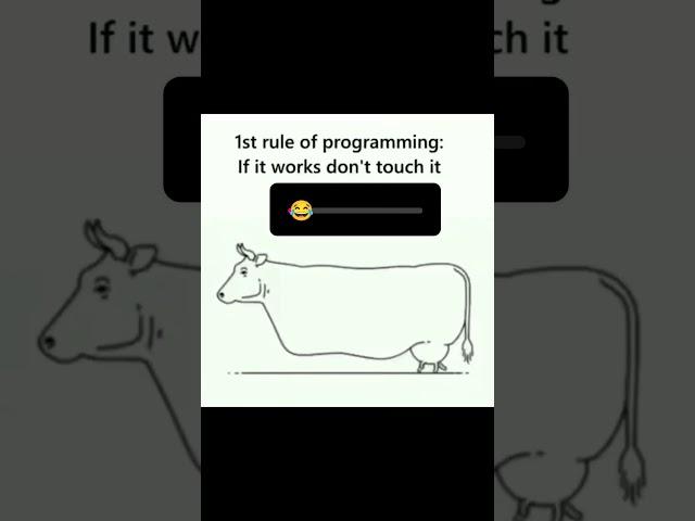 first rule of programming is it works Don't touch it #coding #coder #programmers #shortsfeed