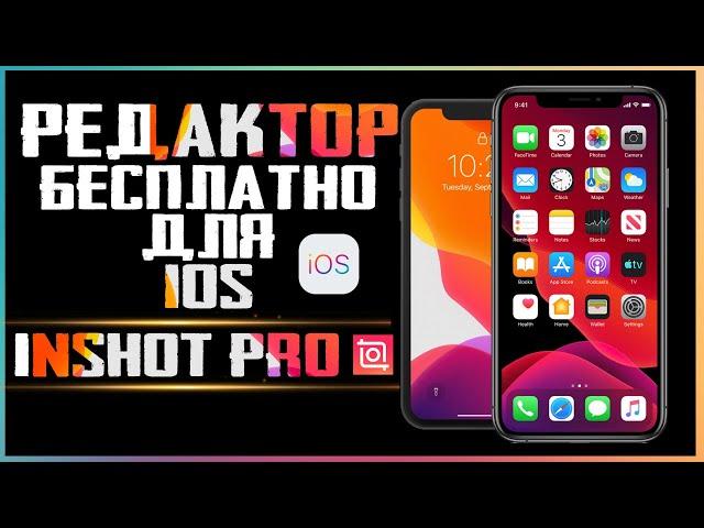 Inshot Pro для IPhone Теперь монтировать видео легко и просто