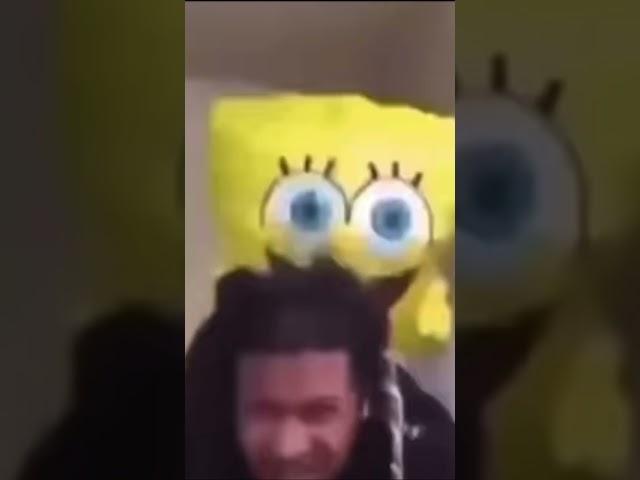 Th is SpongeBob doin