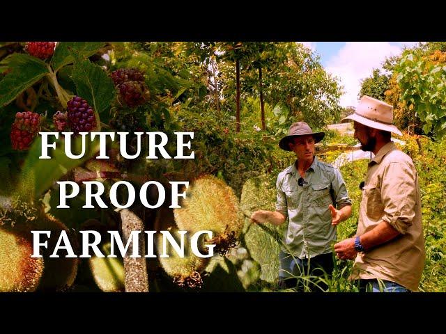 Amazing Syntropic Food Forest in just 3 Years! | Could this be the future of farming?