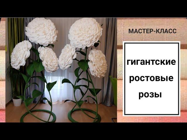 МАСТЕР-КЛАСС/Гигантские розы из гофрированной бумаги