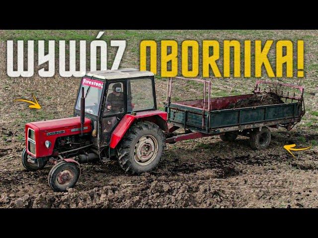 Rozrzucanie Obornika  Polski Zestaw  Ursus C-360  Ursus C-330  Rozrzutnik Agromet Ładowacz Trol