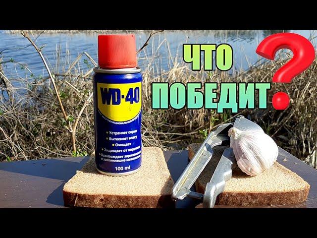 Опустил под воду WD-40 и ЧЕСНОК. Реакция рыбы. Подводная съёмка.