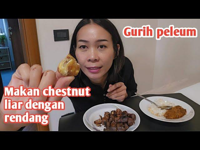 HMM GURILEM MASAK CHESNUT LIAR DIMAKAN DENGAN RENDANG