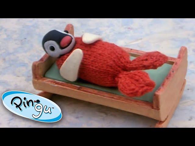 Pingu is Jealous of Pinga! | Pingu Official | Cartoons for Kids