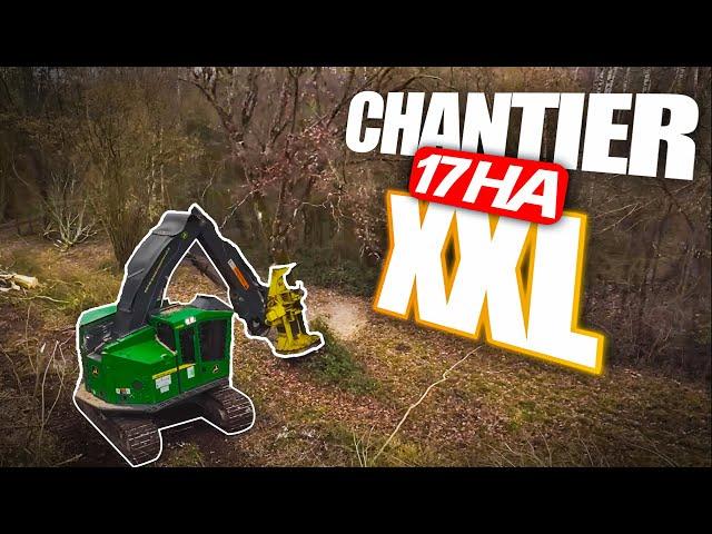  CHANTIER FORESTIER XXL - Feller BUNCHER 3 PORTEURS DÉBUSQUEUR !