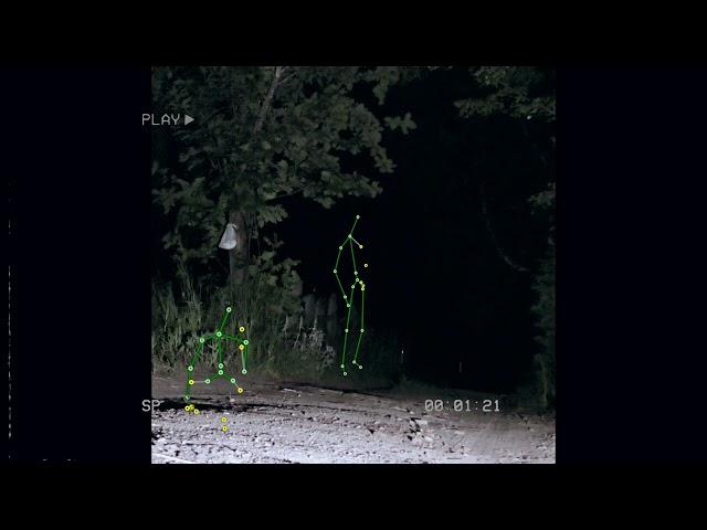 GHOSTS IN THE CEMETERY AT NIGHT, real video via Kinect Camera