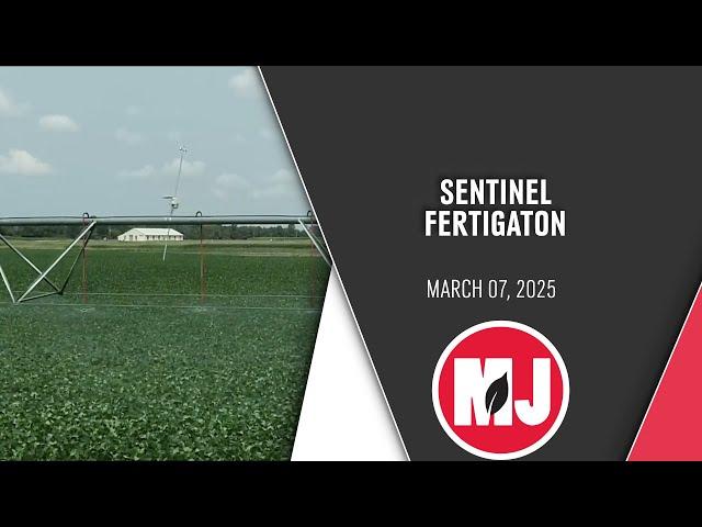 Sentinel Fertigation | Nitrogen Management | March 07, 2025