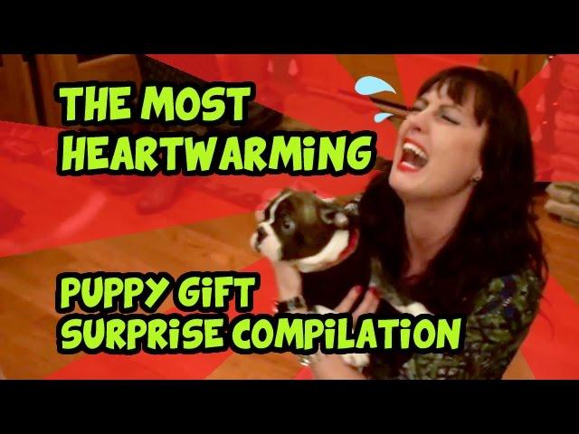 THE MOST HEARTWARMING PUPPY GIFT SURPRISE COMPILATION