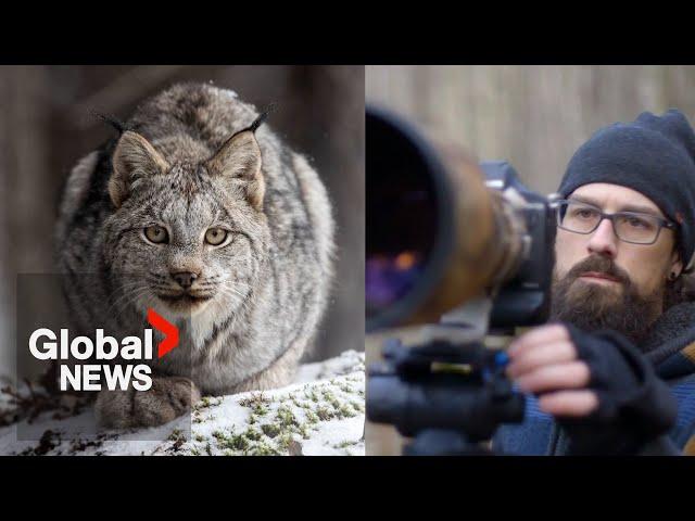 BC man named Canadian Geographic Photographer of the Year for stunning wildlife snapshots