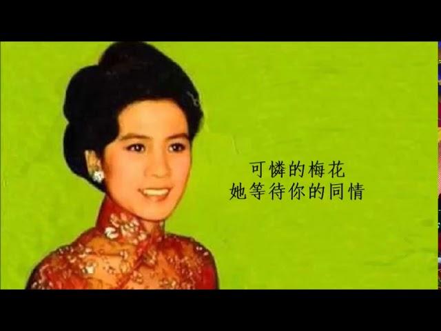 梅花 - 王幸玲 Wang Sing Ling