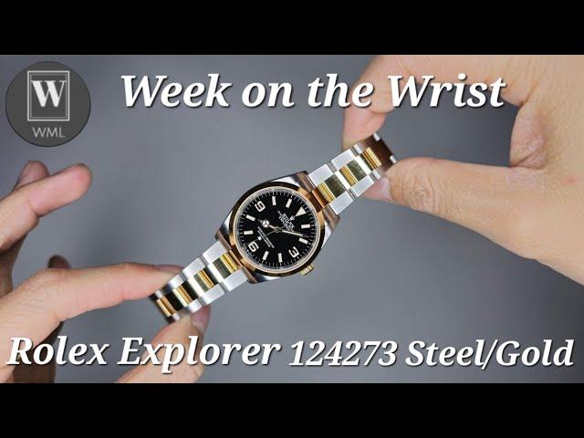 Week on the Wrist - Rolex Explorer 124273 Steel & Gold  The ultimate Palate cleanser 🪙