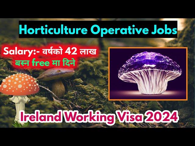 Ireland working visa for nepali || Ireland work permit visa 2025