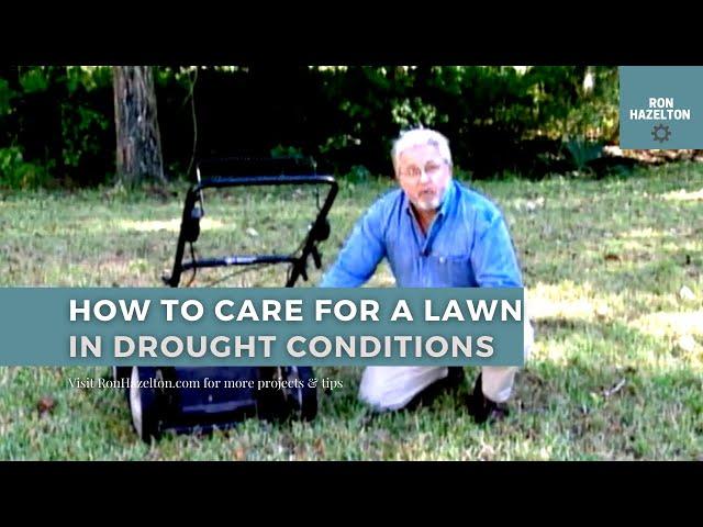 How to Care for a Lawn in Drought Conditions