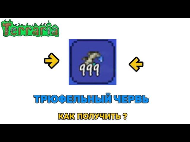 Трюфельный червь как получить? гайд |TERRARIA |