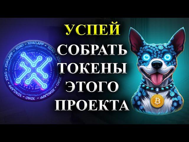 ️TONxDAOCРОЧНО!СКОРО ЛИСТИНГ! УСПЕЙ СОБРАТЬ КАК МОЖНО БОЛЬШЕ ТОКЕНОВ ЭТОГО ПРОЕКТА!