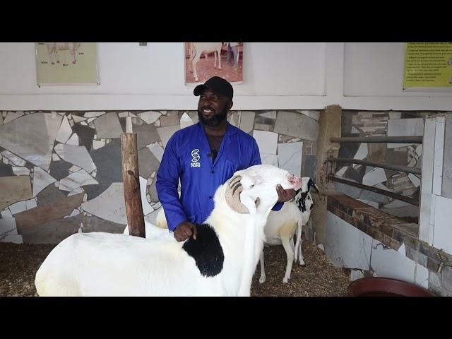 Life of a Young Farmer in Ghana |Nasrullah Razak Sana of Sana Farms