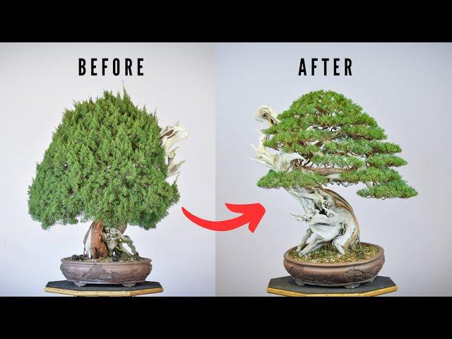 Juniper Bonsai Pad Creation | Bonsai-U