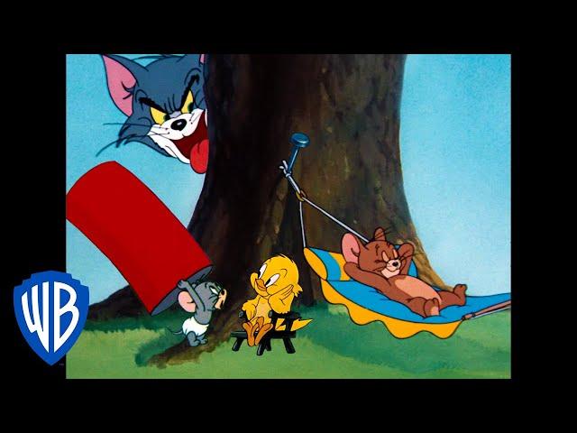 Tom & Jerry | Feeling Adventurous! | Classic Cartoon Compilation | WB Kids