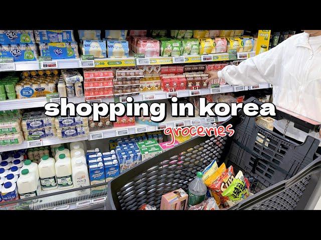 shopping in korea vlog  grocery food haul with prices  snacks unboxing & cooking