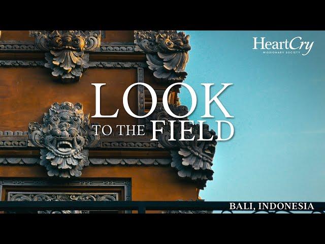 Bali - Indonesia | Look to the Field