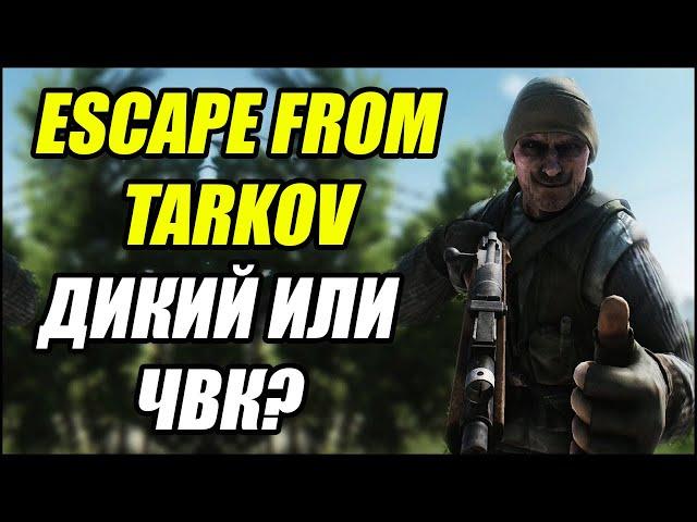 Escape From Tarkov: Как отличить ДИКОГО от ЧВК?