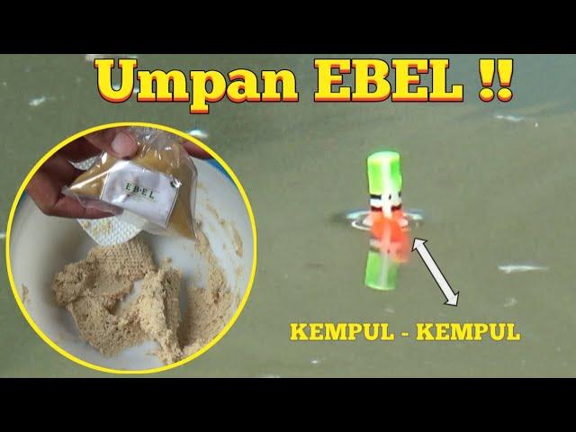 Umpan EBEL Simpel Cuma 15 ribu Ikan Makanin Angeut !! Umpan Ikan Mas