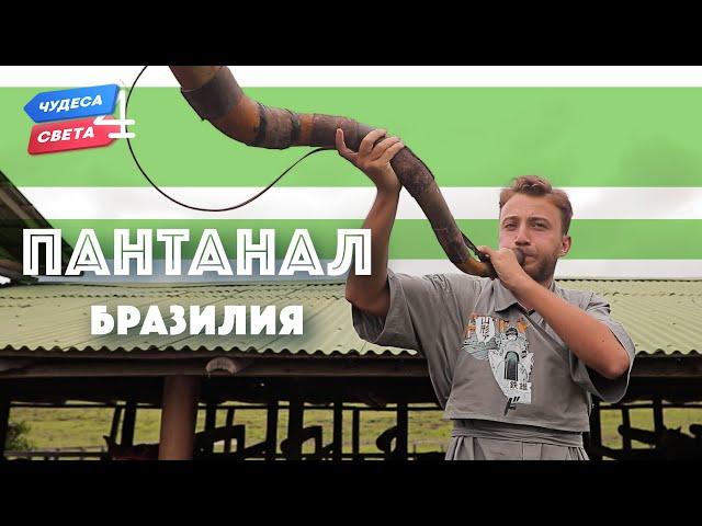 Пантанал. Бразилия. Орёл и Решка. Чудеса света (eng, rus sub)