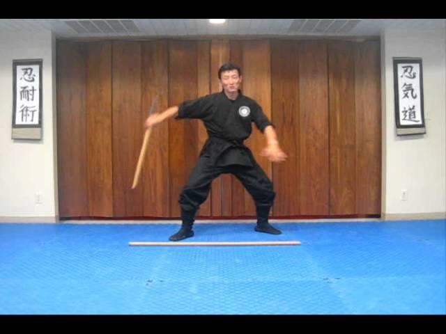 FREE Nintaijutsu for youtube #001