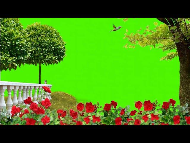 Nature Green Screen /Tree Green Screen /Garden Green Screen/Green Screen Effects/Flower Green Screen