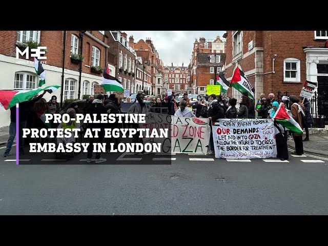 Pro-Palestine protest at Egyptian embassy in London