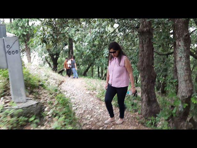 Trekking at Kali ka Tibba Chail Himachal | Small Trek for Family