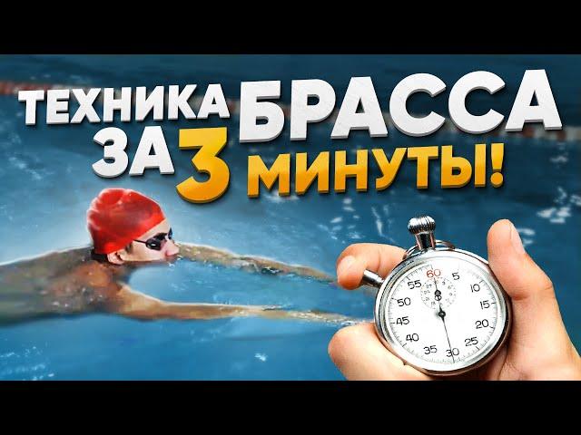 Как правильно плавать брассом? Работа рук и ног в плавании брассом. ТОП ошибок брасса | Swim Rocket